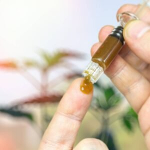 image of cannabis oil syringe