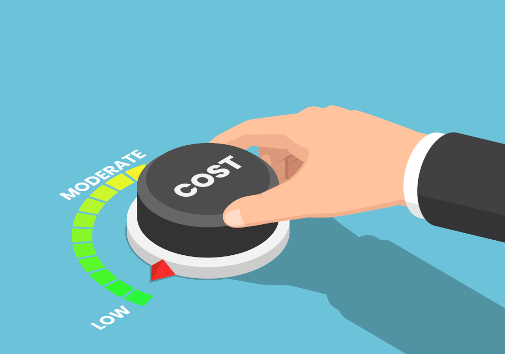 image of cost and value